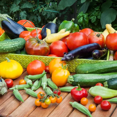 warm season vegetables