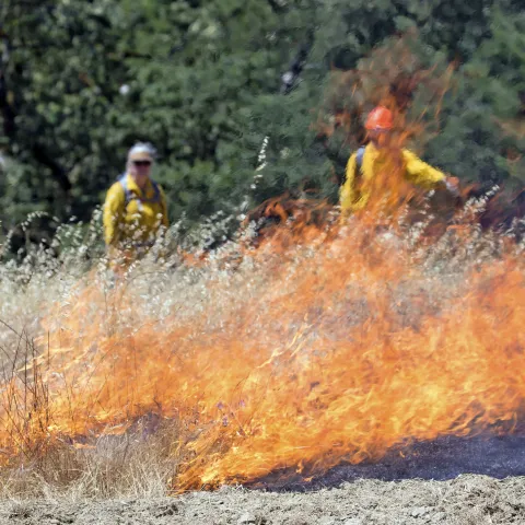 Fire